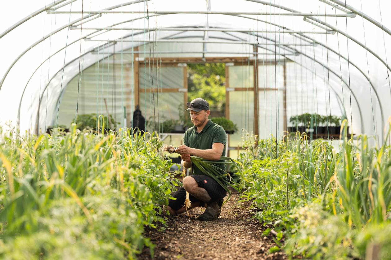 Bishopstrow Hotel Spa The Playful Country Estate Bishopstrow Hotel Spa The Playful Country Estate